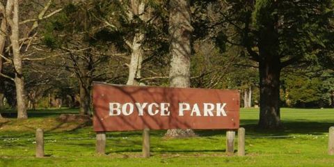 More information on Boyce Park