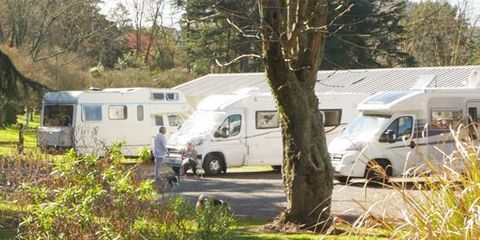 Freedom camping at Prideaux Park.