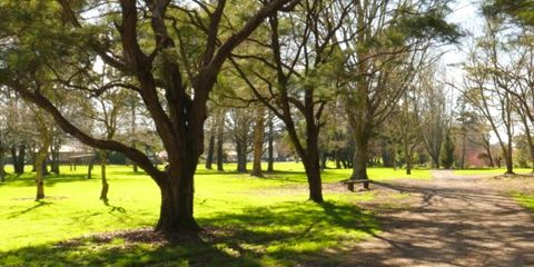 Other reserves in the Kawerau District