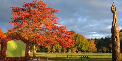 More information on Prideaux Park