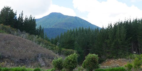 More information on Tarawera River and Forest Walk